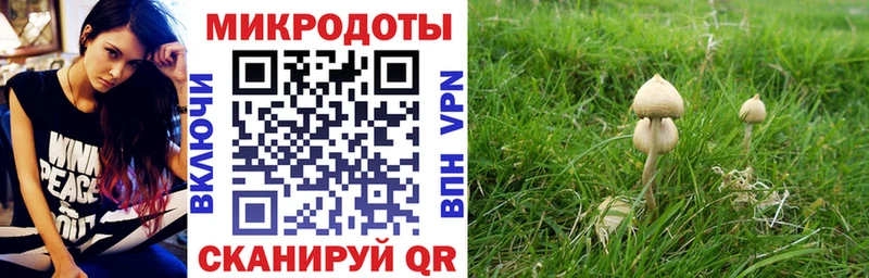 Псилоцибиновые грибы MAGIC MUSHROOMS где найти OMG tor Углегорск